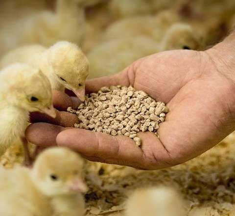 b7023fd67ebf13dff8be24c0c2af081d