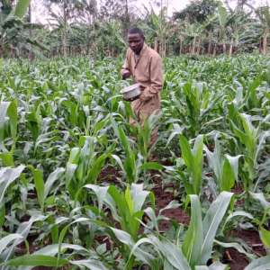 WhatsApp Image 2026-02-03 at 8.59.12 AM