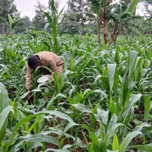 WhatsApp Image 2026-02-03 at 9.02.05 AM