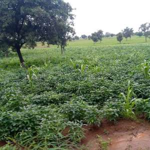 WhatsApp Image 2026-02-08 at 8.06.06 PM (2)