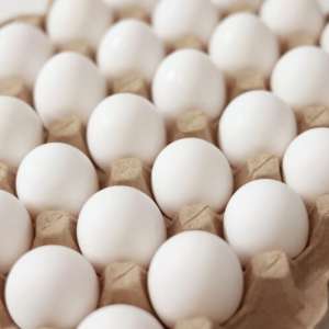 white-eggs-2-768x501
